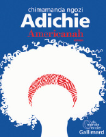 Americanah_Chimamanda_Ngozi_Adichie_Adichie_etc_Z_Library.pdf